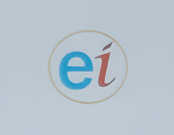 e-intellisafe & Security Solutions